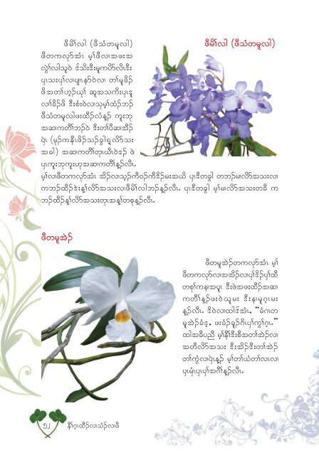 Studying Orchids Enriching Lives (Karen Version)