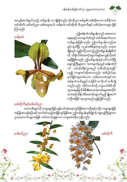 Studying Orchids, Enriching Lives (Burmese Version)
