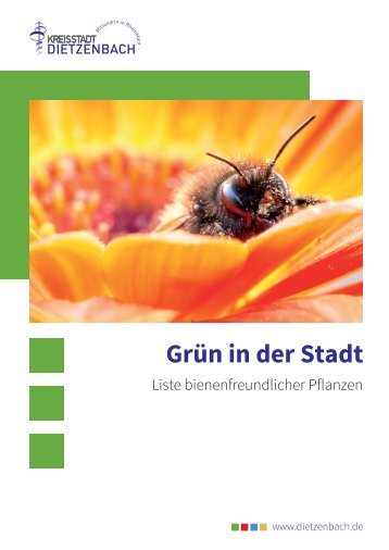 Liste bienenfreundlicher Pflanzen