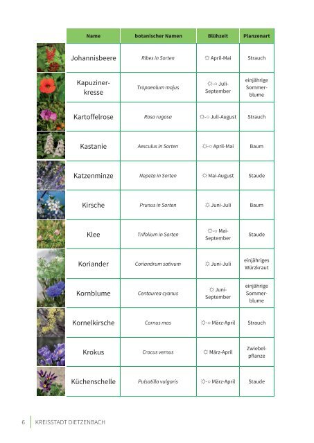 Liste bienenfreundlicher Pflanzen