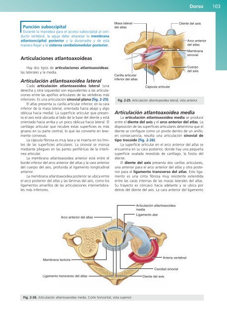 Anatomía Clínica - Pró 1ª