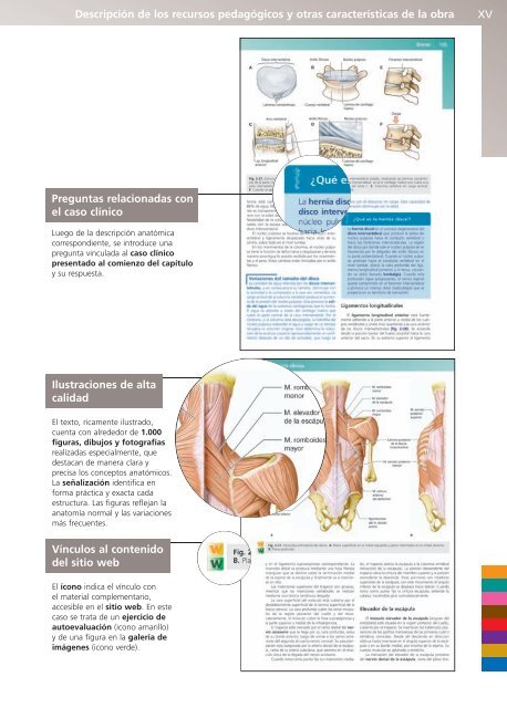 Anatomía Clínica - Pró 1ª