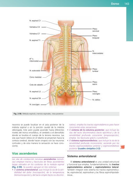 Anatomía Clínica - Pró 1ª