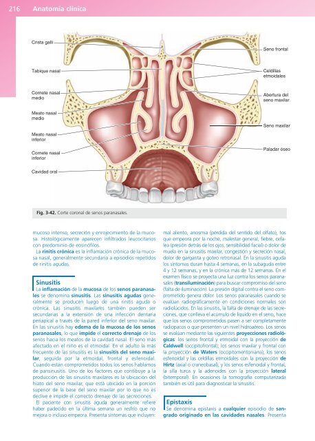 Anatomía Clínica - Pró 1ª