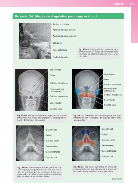 Anatomía Clínica - Pró 1ª