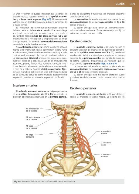 Anatomía Clínica - Pró 1ª