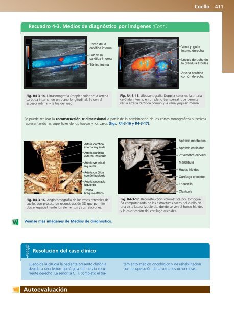 Anatomía Clínica - Pró 1ª