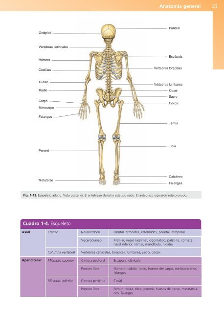 Anatomía Clínica - Pró 1ª