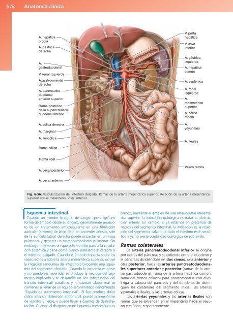 Anatomía Clínica - Pró 1ª