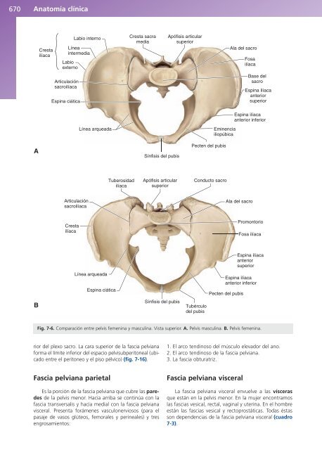 Anatomía Clínica - Pró 1ª