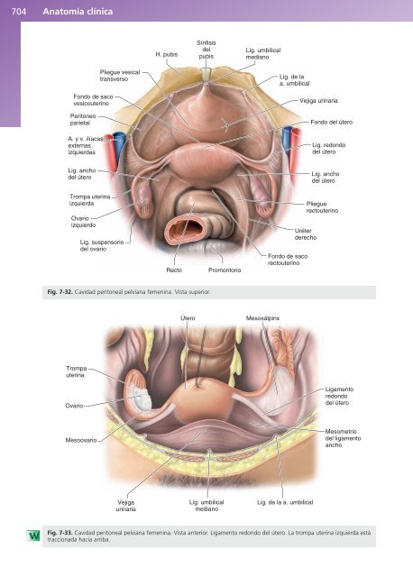 Anatomía Clínica - Pró 1ª