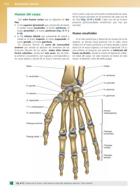 Anatomía Clínica - Pró 1ª