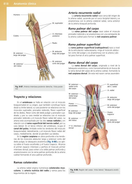 Anatomía Clínica - Pró 1ª