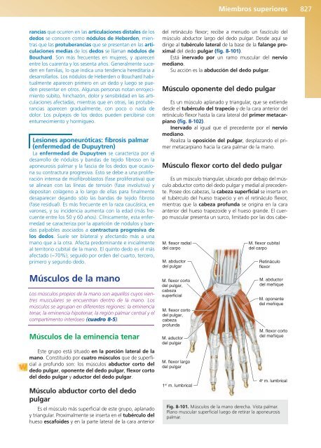 Anatomía Clínica - Pró 1ª