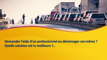 Demengo - Demander l’aide d’un professionnel ou déménager soi-même