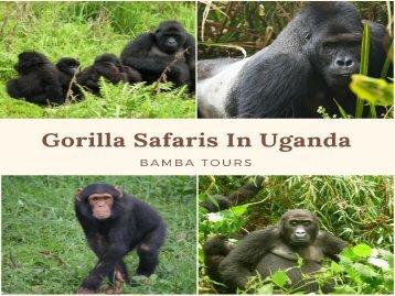 Uganda Wildlife Safaris