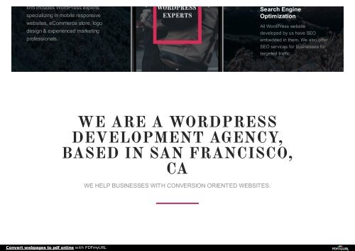 SFWP Experts | San Francisco Wordpress Development Agency