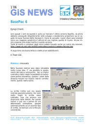 BasePac 6 - gis-net.de