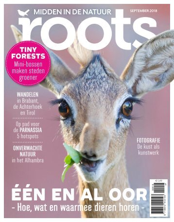 Inkijkexemplaar-Roots-09-2018