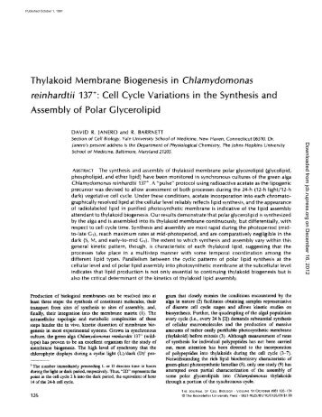 Thylakoid Membrane Biogenesis in Chlamydomonas reinhardtii 137 ...