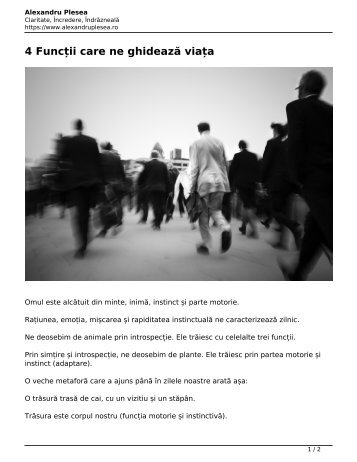 4-functii-care-ne-ghideaza-viata