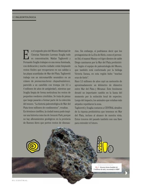 Revista CENTRAL 66