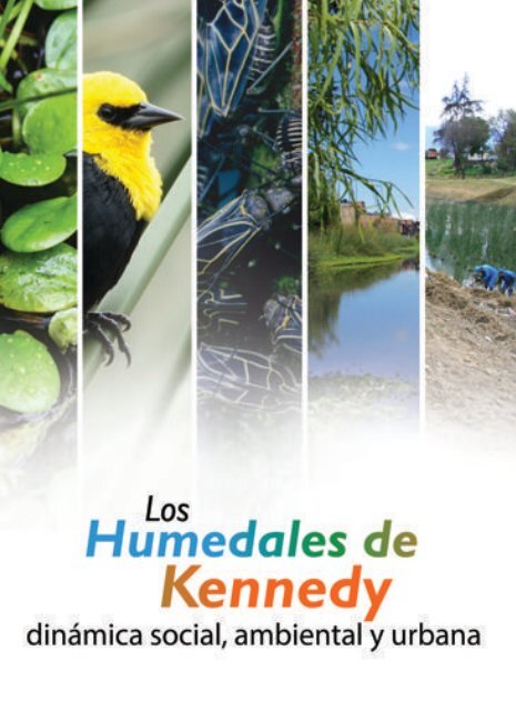 Los Humedales De Kennedy Dinamica Social Ambiental Y Urbana [ 640 x 465 Pixel ]