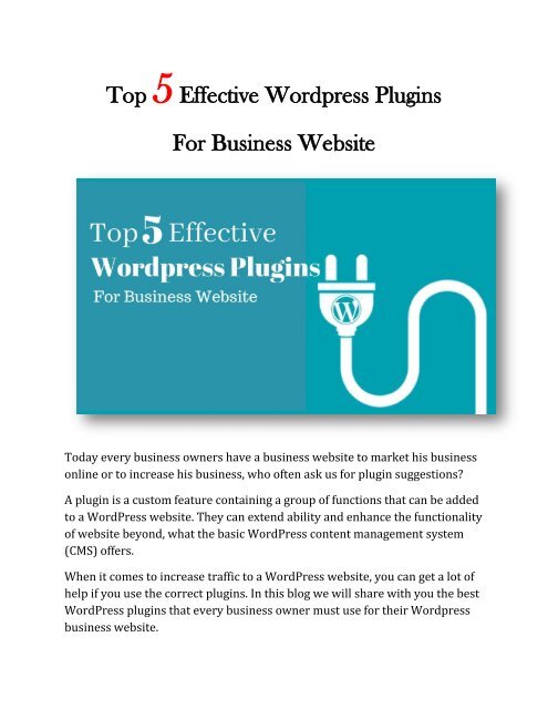 Top 5 Effective Wordpress Plugins for Business Website