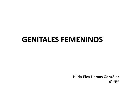 exploracion genitales femeninos