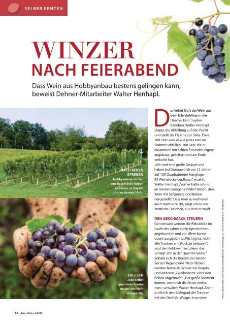 Dehner Magazin - 4/2018