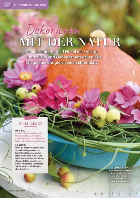 Dehner Magazin - 4/2018