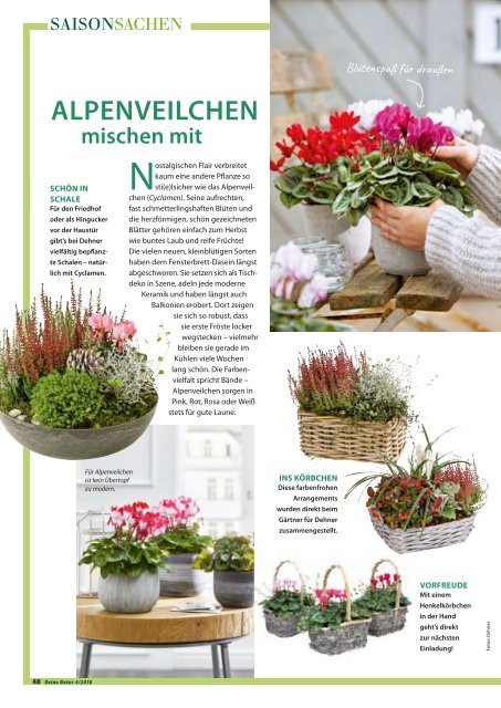 Dehner Magazin - 4/2018