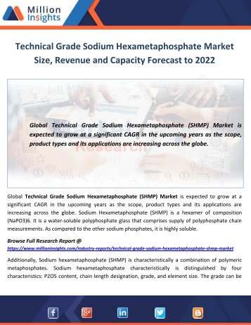 Technical Grade Sodium Hexametaphosphate Market Size, Revenue and Capacity Forecast to 2022