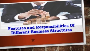 Features and Responsibilities Of Different Business Structures