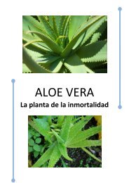 Isabel Rangel Barón - Aloe vera