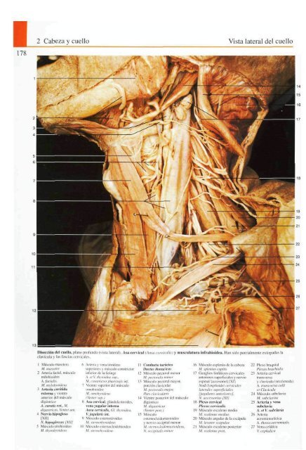 Atlas-de-anatomia