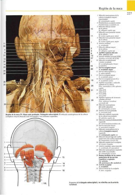 Atlas-de-anatomia