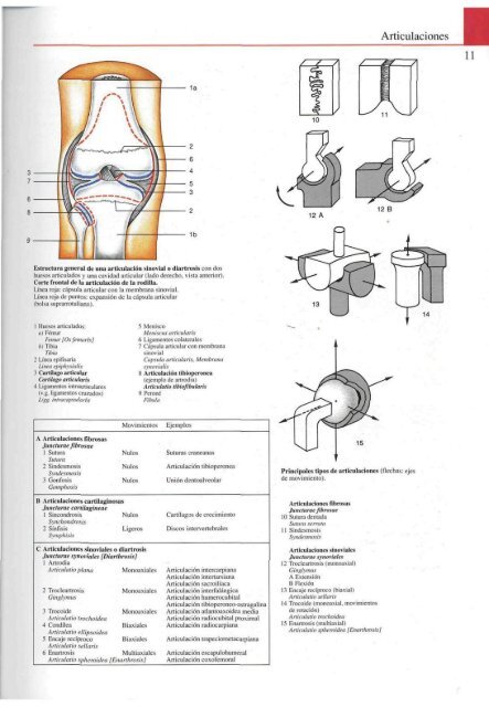 Atlas-de-anatomia