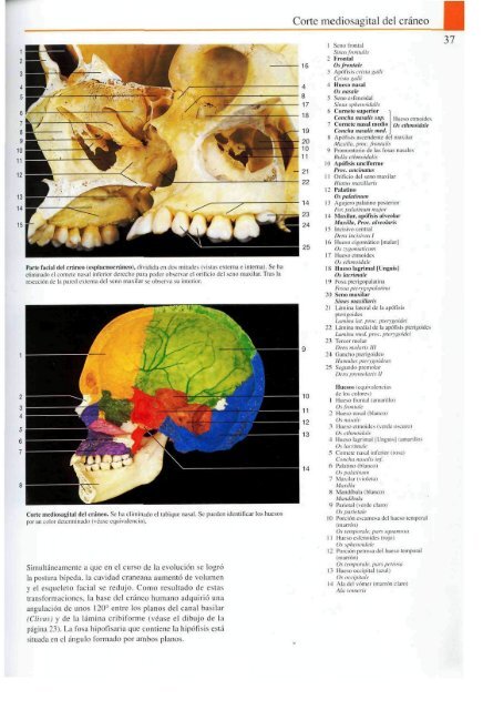 Atlas-de-anatomia