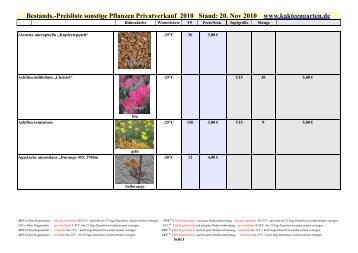 Bestands.-Preisliste sonstige Pflanzen ... - Kakteengarten