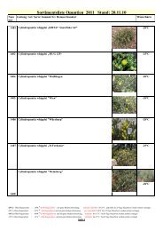 Sortimentsliste Opuntien 2011 Stand: 20.11.10 - winterharte Kakteen