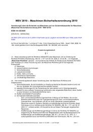 msv2010.pdf