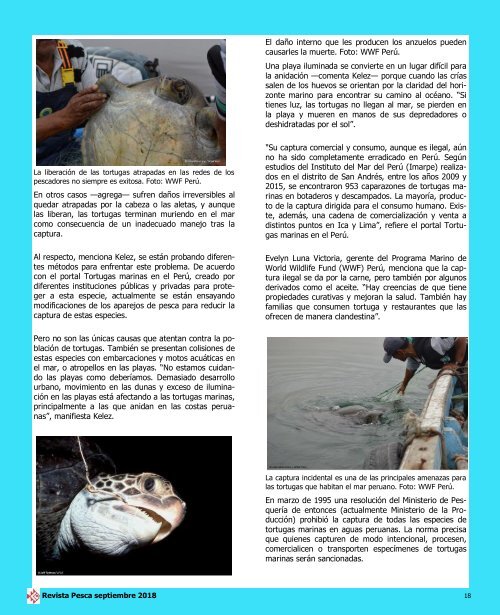 REVISTA_PESCA_SEPTIEMBRE_2018