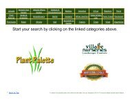 Plant Palette PDF - Village Nurseries Landscaping Centers
