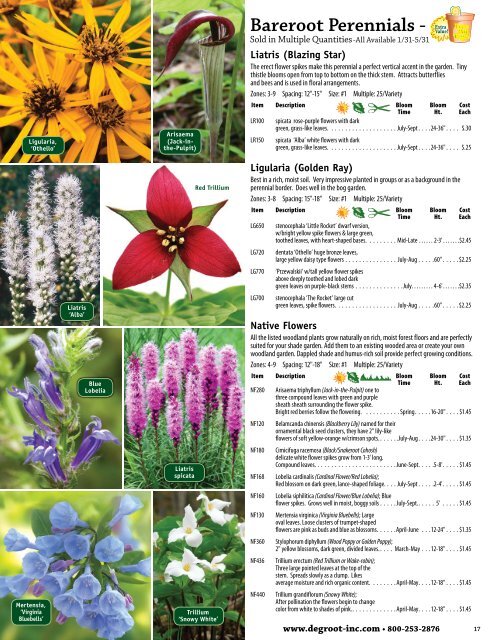 Bareroot Perennials - De Groot, Inc.