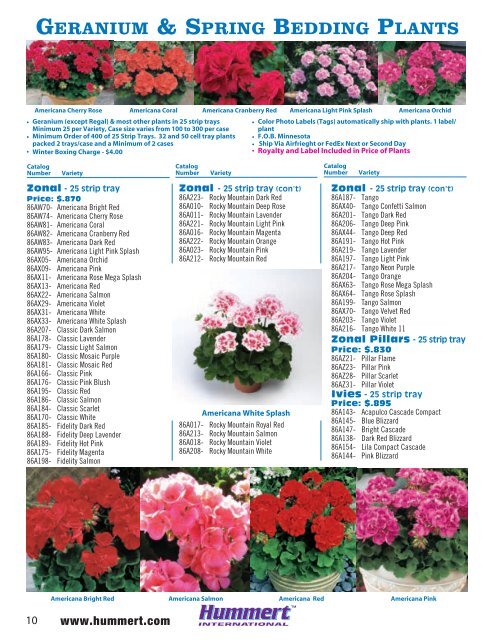 spring bedding plants - Hummert International