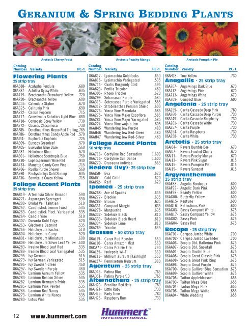 spring bedding plants - Hummert International