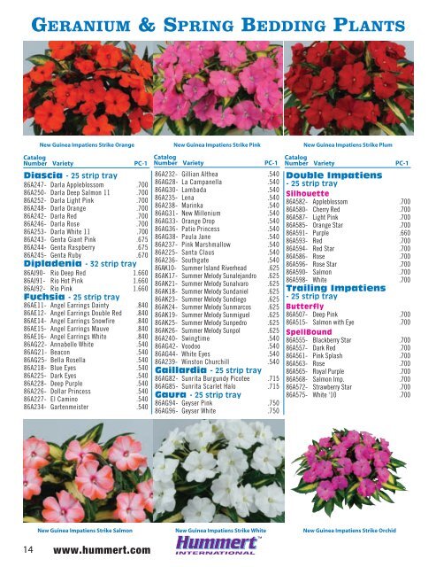 spring bedding plants - Hummert International