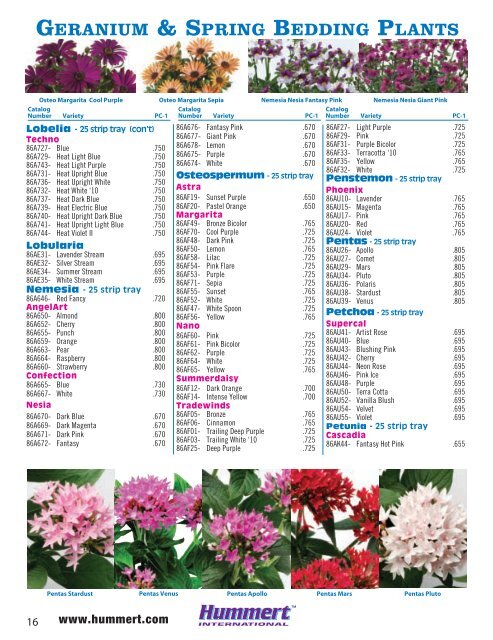 spring bedding plants - Hummert International