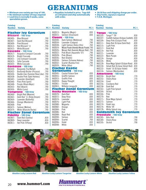 spring bedding plants - Hummert International